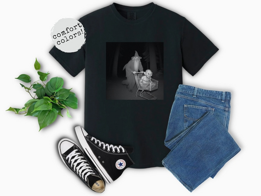 Wizard Houses Family Shirt, Bookish Sweatshirt, Wizard Magic Sweatshirt, PGG13