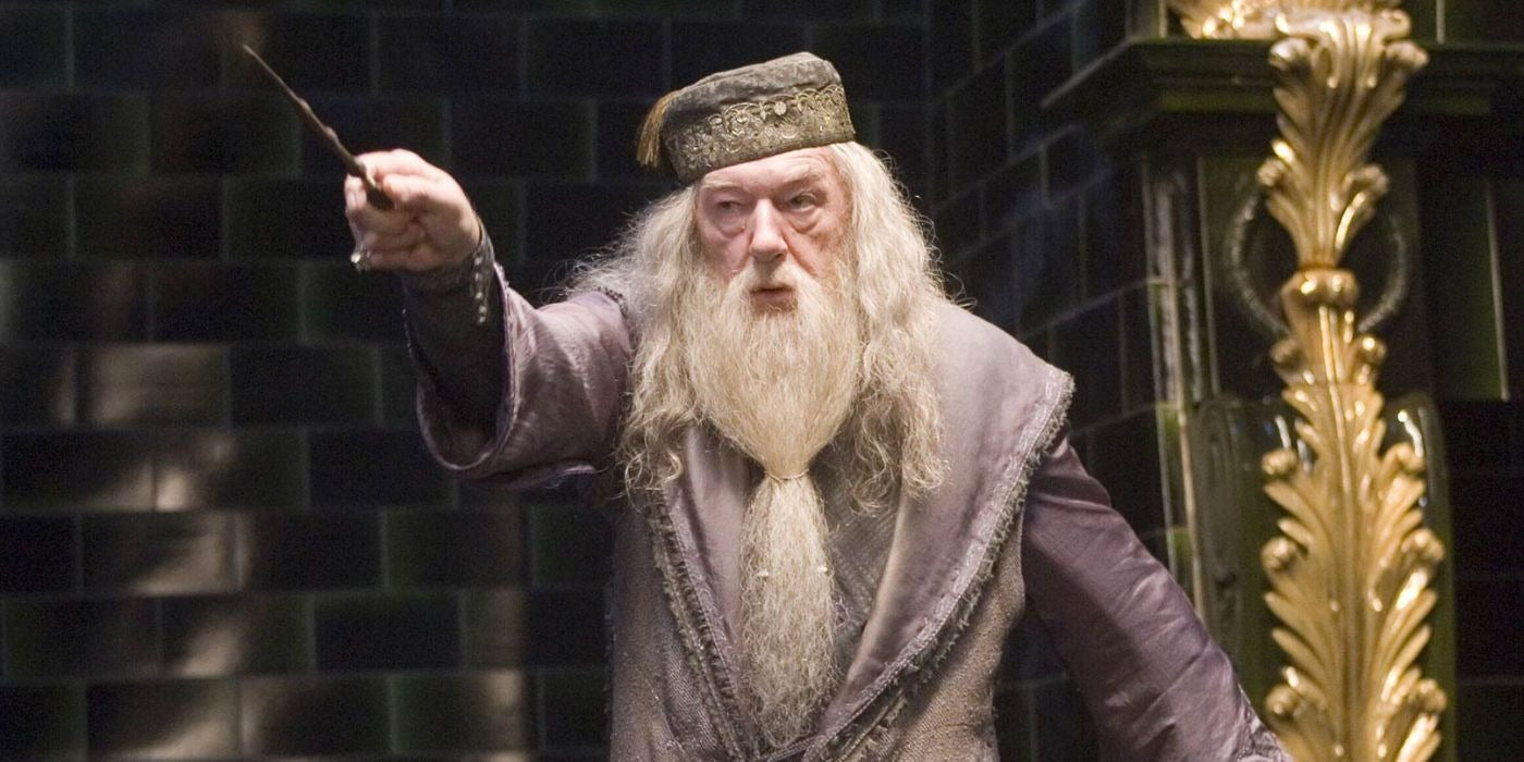 The Legacy of Albus Dumbledore: Protector and Mentor of Harry Potter