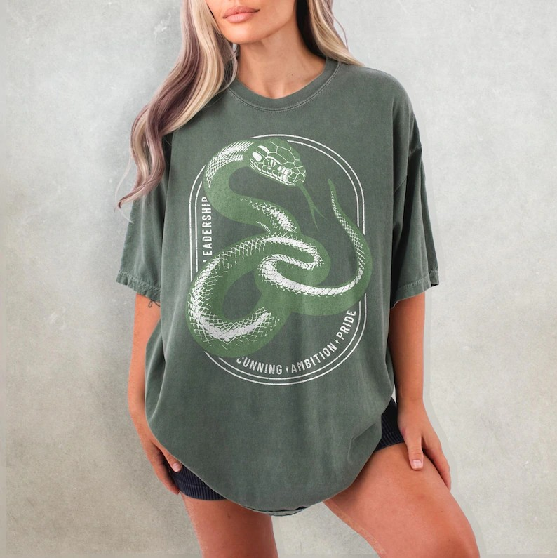 Wizard House Shirt Set, Bookish Comfort Colors T-Shirt, Matching Shirts, Wizarding School Tshirt, Magical School Shirt