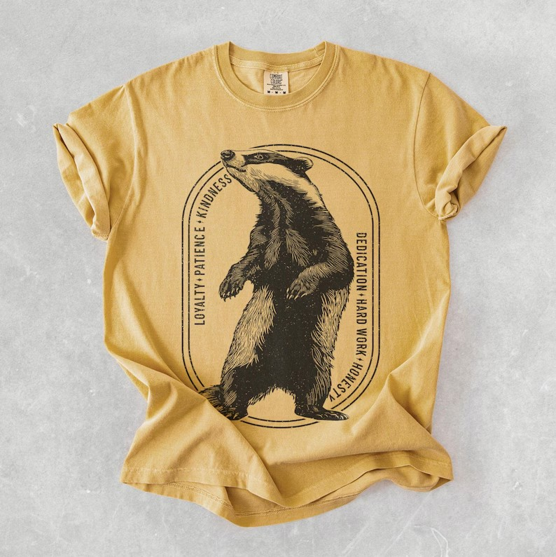 Wizard House Shirt Set, Bookish Comfort Colors T-Shirt, Matching Shirts, Wizarding School Tshirt, Magical School Shirt